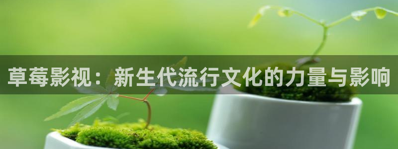 久久人人爽人人爽人人片av东：草莓影视：新生代流行文化的力量与影响