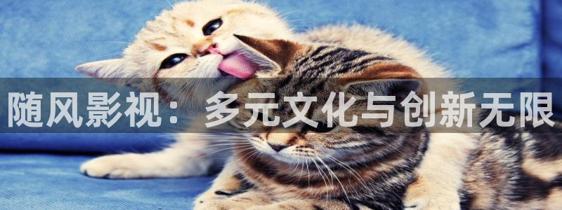 人人影院.：随风影视：多元文化与创新无限