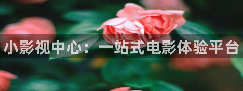 人人射毛片：小影视中心：一站式电影体验平台