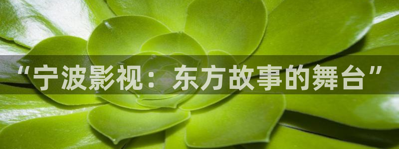 人人成人在线视频：“宁波影视：东方故事的舞台”